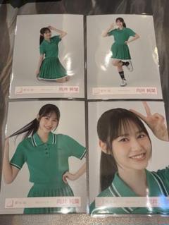 向井純葉 櫻坂46 ポロシャツコーデ 生写真 4種コンプ
