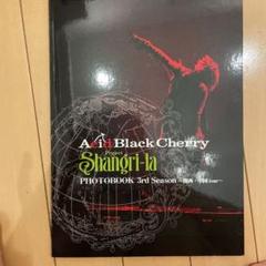 ABC shangri-la PHOTOBOOK 5冊セット コンプリートBOX 2025年最新】アシッドブラックチェリー 本の人気アイテム - メルカリ