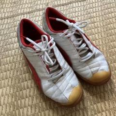 Puma フットサルシューズ ホワイト/レッド　26.5cm