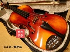 2025年最新】ビオラ スズキの人気アイテム - メルカリ