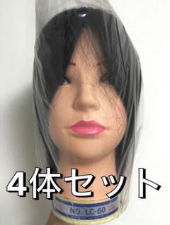 【seina】国試ウィッグ　カット本番用　2体 レジーナ　新品未使用 R-008 | 株式会社レジーナ