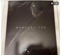 北村匠海&吉沢亮主演した、マーキューリファーのパンフレットです。