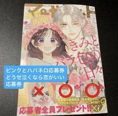 マーガレット 14号 恋するリップ・ティント 恋リプ 応募券