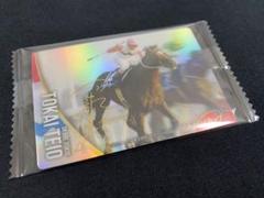 【最安値】トウカイテイオー 箔押し ノーマル サラブレッドホース 岡部 サイン トウカイテイオー 箔押サイン入り サラブレッドホース
