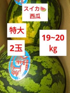 西瓜　特大　2玉 19~２0㎏ 西瓜 特大 2玉 19~20㎏ - メルカリ