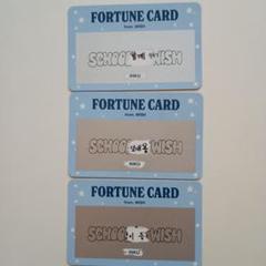 NCTWISH リク ペンミ SCHOOL FORTUNE