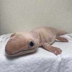 わくでかぬいぐるみ 珍獣捕獲シリーズ キョダイヤモリ