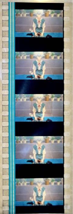 エヴァンゲリオン 新劇場版 破 特典フィルム レイ お弁当 水族館 エヴァンゲリオン 新劇場版 破 特典フィルム レイ お弁当 水族館