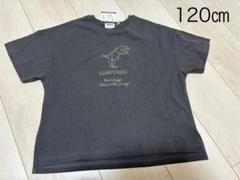 【新品タグ付】ブリーズ 恐竜 Tシャツ トップス 120㎝