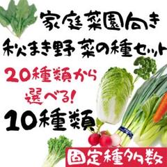 選べる!秋まき野菜の種! 10種類お選びください!