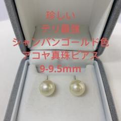 珍しい テリ最強 シャンパンゴールド色 アコヤ真珠ピアス 9-9.5