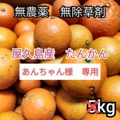 奄美自然科学研究所オンラインショップ 通販サイト / 奄美