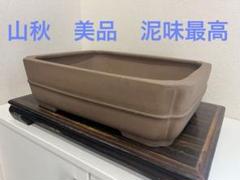 紫砂 四角い鉢植え 盆栽鉢　植木鉢　紫砂盆栽鉢　園芸　盆栽 四角蘭鉢 中国宜興 紫砂の鉢 盆栽鉢 植木鉢 小品盆栽鉢 大品