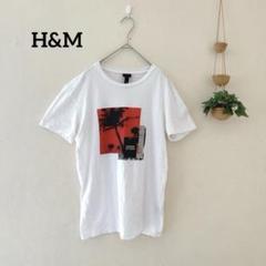 エイチアンドエム パームツリー プリント Tシャツ