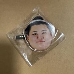 未開封 大相撲 大の里 アクリルスタンド A4ステッカーシート shonannoumi_6c53d001-35c3-402f