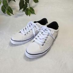 【良品】VANS/ヴァンズ/ローカットスニーカー/白/黒/22.5cm
