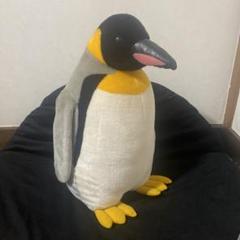 ペンギン　ぬいぐるみ　大分市うみたまご　水族館