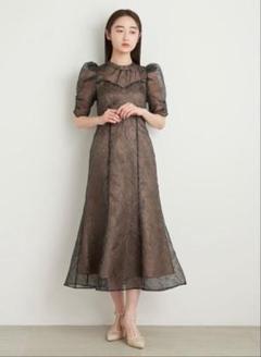 23ss リリーブラウン【1】エンボスオーガンジーLilyグリッタードレス 刺繍 LILY BROWN（リリーブラウン）の「【WEB限定00サイズあり