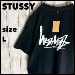 Stussy Zip Thru Hoodie & Pants ステューシー セットアップ