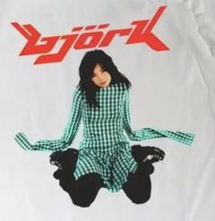 Bjork ビョーク Debut ヴィンテージ Tシャツ スクリーンスターズ 90〜00s ビンテージ BJORK debut Tシャツ ビョーク SADE - メルカリ