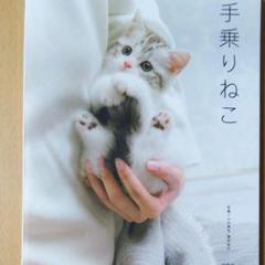 手乗りプチ猫?中古激レア8.5cm 手乗りプチ猫?中古激レア8.5cm