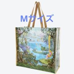 ファンタジースプリングス 紙袋 非売品