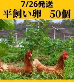 平飼い70個５/7常温発送きりんれもん 平飼い卵50個7/26常温発送 - メルカリ