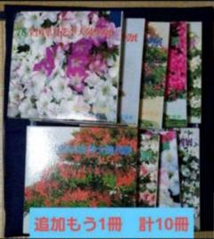 1978年～　皐月花季大陳列展　監修日本皐月協会　10冊セット　盆栽 1978年～ 皐月花季大陳列展 監修日本皐月協会 10冊セット 盆栽