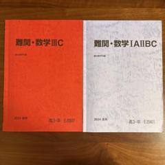 駿台 難関・数学/完成IIIC テキストセット 2024 夏期/冬期 計2冊 永島豪 021S0D 駿台 難関・数学/完成IIIC テキストセット 2024 夏期/冬期 計2冊
