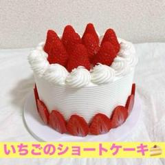 いちご ホールケーキ フェイクケーキ 食品サンプル インテリア 小道具 B841