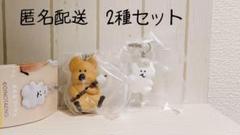 DINOTAENG めじるしアクセサリー　2種セット