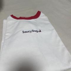 2025年最新】saucy dog ロンtの人気アイテム - メルカリ