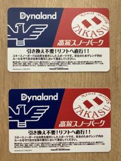 高鷲&ダイナランド リフト券 高鷲スノーパーク ダイナランド 共通リフト券 1枚 引き換え不要