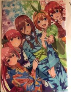 五等分の花嫁 クリアファイル D 浴衣