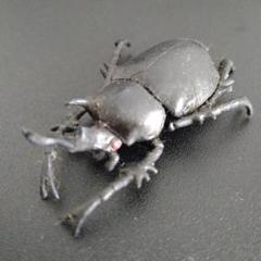 『Kabaya』カバヤ世界の昆虫　シークレット含セミコンプリート20種 Kabaya』カバヤ世界の昆虫 シークレット含セミコンプリート20種