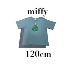 【miffy ミッフィー】美品　半袖Tシャツ　アース　アニマル　可愛い　120