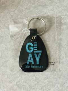 GLAY ランダムグッズ 先行限定 貴重 レア ブランケット GLAY ランダムグッズ キーホルダー - メルカリ