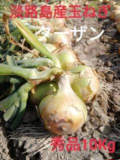 【秀品10Kg】淡路島玉ねぎ 玉葱 たまねぎ