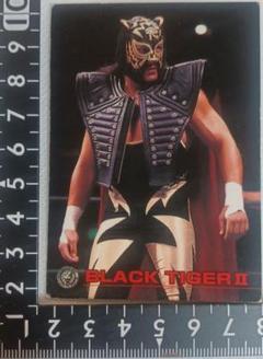五代目ブラックタイガー　マスクマンフィギュア ブラックタイガー プロレスフィギュア タイガーマスク WWE 新