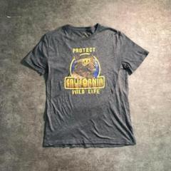 【ヴィンテージ】アニマル柄 Tシャツ グレー ロサンゼルス古着usedTSM11