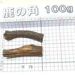 鹿の角 H79 2本セット 100g 兵庫県産 鹿角 鹿のツノ しかつの