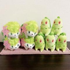 ポケモン カラーセレクションぬいぐるみ green 2種セット