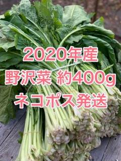 ★2020年産★ 野沢菜 約400g M-167