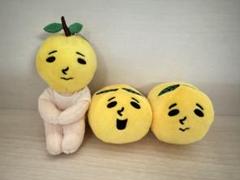 ゆず YUZU ゆず太郎 セット