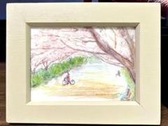 桜並木 自転車 色鉛筆画
