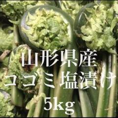 Natural farming 七田式 腸脳相関 菌活 食養生 自然栽培野菜 Natural farming 七田式 腸脳相関 菌活 食養生 自然栽培野菜