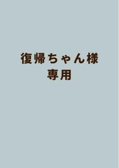 復帰ちゃん様専用　PSP ウォーシップガンナー2 ポータブル