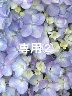 【ポテコ様専用②】ヤンデレ魔法使いは石像の乙女しか愛せない5/他2冊