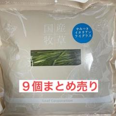 令和7年産国産やみつきイタリアンライグラス 100g 9個まとめ売り m79004340954_1.jpg?1747579958