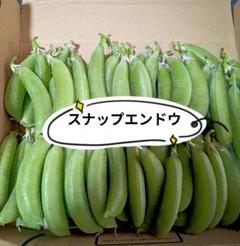 野菜栽培の新技術 ③ ハウスメロン 生理と栽培技術』 平林哲夫